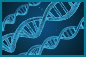 Sininen DNA-rakenne