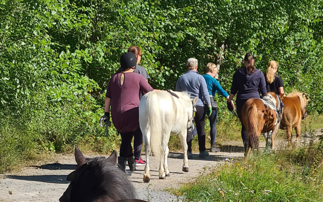 Eläinavusteinen kuntoutus ja valmennus (30 op)