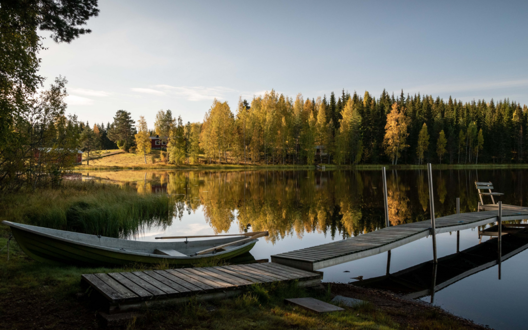 Finnish for Beginners 1 – Suomen kielen alkeet 1