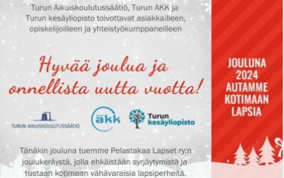 Hyvää joulunaikaa ja onnellista vuotta 2025!